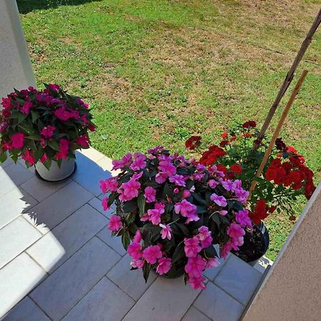 Apartmani Danica Vodnjan Buitenkant foto