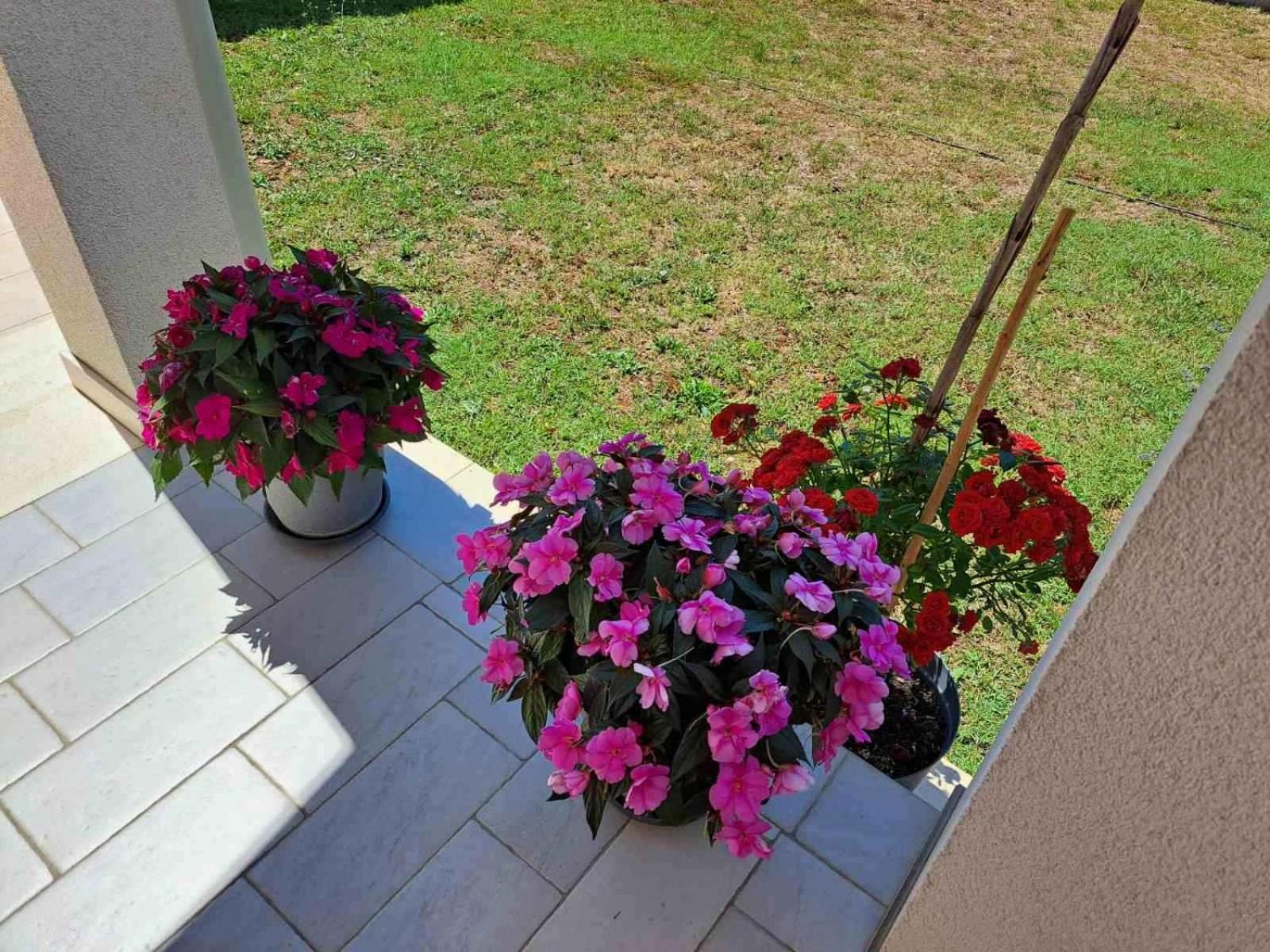 Apartmani Danica Vodnjan Buitenkant foto