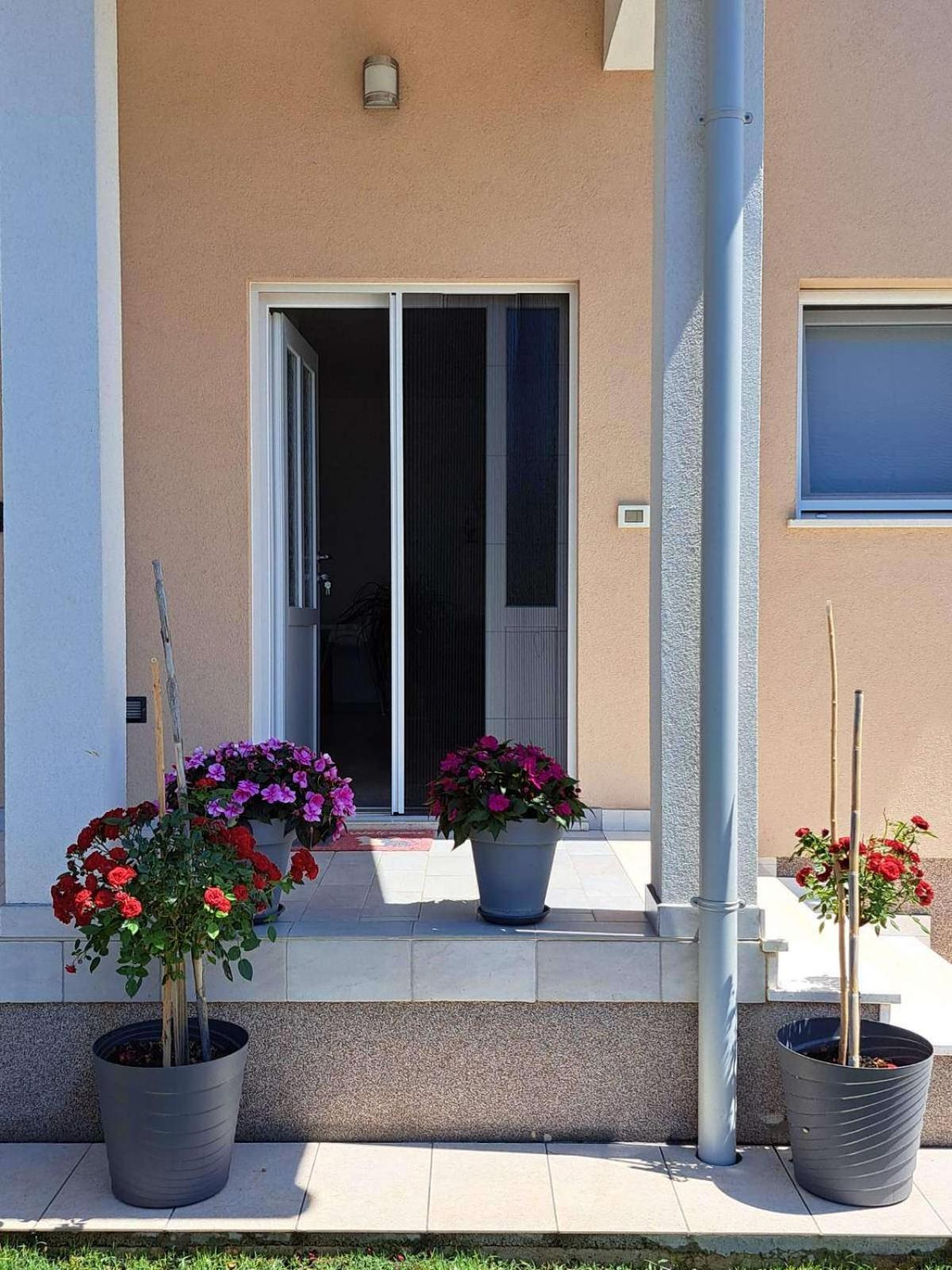 Apartmani Danica Vodnjan Buitenkant foto